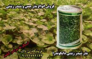 بذر شبدر ، فروش بذر شبدر ، فروش بذر شبدر قرمز ، خواص بذر شبدر ، انواع بذر شبدر ، بذر شبدر زینتی ، بذر شبدر برسیم ، بذر شبدر سفید ، قیمت شبدر ، بذر شبدر دایکوندرا ، قیمت چمن دایکوندرا ، نگهداری چمن دایکوندرا ، بذر شبدر زینتی ، نحوه کاشت شبدر ، کاشت شبدر زینتی ، فروش بذر چمن شبدری ، خرید بذر دایکوندرا ، قیمت بذر چمن برموداگراس ، بذر شبدرو بذر چمن ، قیمت بذر چمن ایرانی ، قیمت بذر چمن آفریقایی ، فروش بذر چمن تهران ، خرید اینترنتی بذر چمن ، مقدار بذر چمن در متر مربع ، بهترین بذر چمن ، قیمت هر کیلو بذر چمن ، فروش بذر چمن دایکوندرا