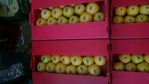 کارتن پلاست بسته بندی میوه