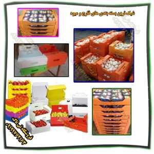 کارتن پلاست در صنعت بسته بندی محصولات کشاورزی و قارچ 🍀بسته بندی قارچ خوراکی به صورت فله ای و صادراتی 🍀بسته بندی شکیل و بهداشتی برای صادرات و حمل اسان 🍀بسته بندی میوه و سبزیجات در بسته بندی میوه و سبزیجات از کارتن پلاست استفاده می شود. موضوعی که در استفاده از کارتن پلاست در جعبه میوه و سبزیجات بایستی دقت شود وزن کل محصول در یک جعبه و تعداد چیدمان جعبه ها بر روی یکدیگر در هنگام بارگیری و تخلیه میباشد. موضوع حائز اهمیت در استفاده از کارتن پلاست در جعبه میوه و سبزیجات وزن کل محصول در یک جعبه و تعداد چیدمان جعبه ها بر روی یکدیگر در هنگام بارگیری و تخلیه می باشد . مسئله همگن و نا همگن بودن بار واطلاع از اینکه فشار بر روی محصول است معیارهایی در انتخاب ضخامت و گراماژ می باشند وبا داشتن اطلاعات فوق و موارد دیگر است که جعبه طراحی و تولید می گردد. 09199762163-09120578916☎️