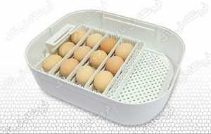 شانه و سبدهچ ایزی باتور